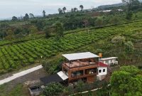 Papyrus Cafe and Camping Site yang berlokasi di kawasan wisata Pondok Halimun, Kecamatan/Kabupaten Sukabumi. Foto: Istimewa.