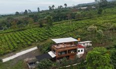 Ini Lokasi Kafe dan Tempat Kemah Paling Cocok Dikunjungi Wisatawan di Sukabumi