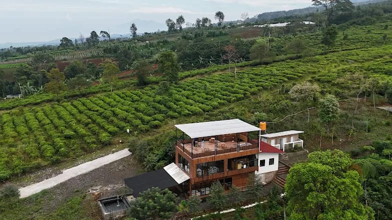 Papyrus Cafe and Camping Site yang berlokasi di kawasan wisata Pondok Halimun, Kecamatan/Kabupaten Sukabumi. Foto: Istimewa.