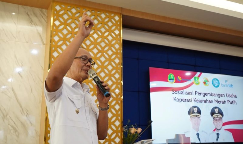 Wali Kota Sukabumi, Ayep Zaki. Foto: Humas Pemkot Sukabumi.