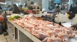 Pedagang daging ayam di Pasar Pelita Kota Sukabumi. Foto: Boy.
