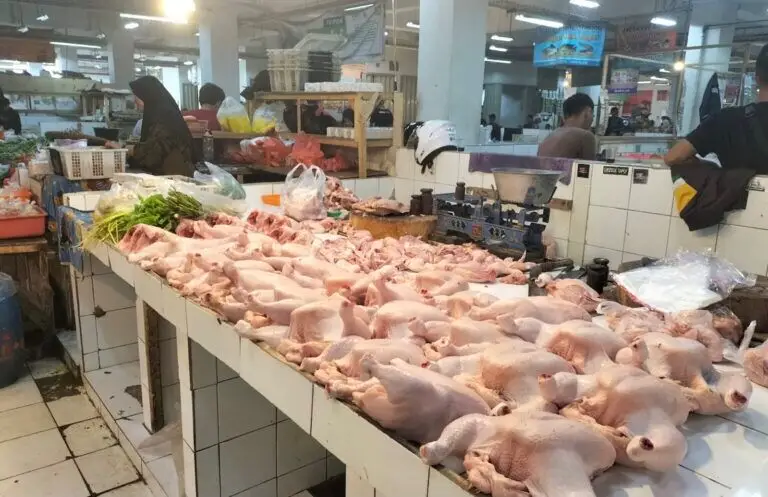 Pedagang daging ayam di Pasar Pelita Kota Sukabumi. Foto: Boy.