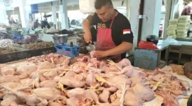 Pedagang daging ayam di Pasar Kota Sukabumi. Foto: Boy