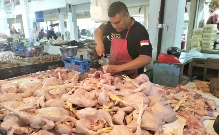 Pedagang daging ayam di Pasar Kota Sukabumi. Foto: Boy