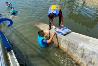 Sejumlah petugas DPUTR Kota Sukabumi saat melakukan pemeliharaan kolam retensi, belum lama ini.