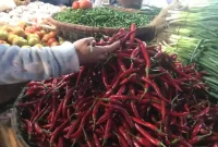 Harga cabai yang dijual di Pasar Kota Sukabumi. Foto: Boy