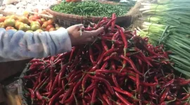 Harga cabai yang dijual di Pasar Kota Sukabumi. Foto: Boy