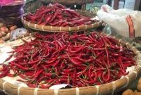 Harga cabai yang dijual di Pasar Kota Sukabumi. Foto: Boy
