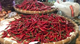 Harga cabai yang dijual di Pasar Kota Sukabumi. Foto: Boy
