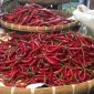 Harga cabai yang dijual di Pasar Kota Sukabumi. Foto: Boy