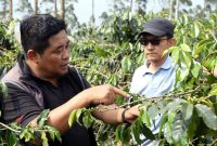 PT Jamkrindo menunjukkan kontribusi nyata dalam memperkuat ekosistem UMKM di Jawa Barat.
