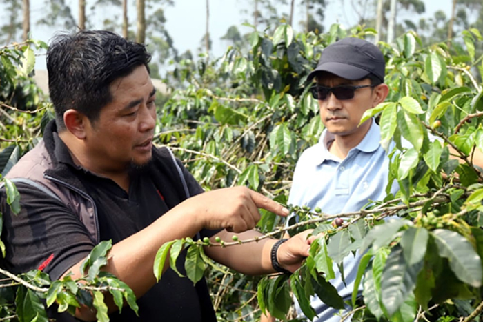 PT Jamkrindo menunjukkan kontribusi nyata dalam memperkuat ekosistem UMKM di Jawa Barat.

