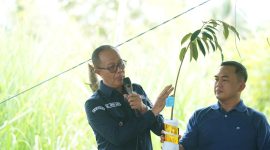 Wali Kota Sukabumi H. Ayep Zaki sedang memperlihatkan tanaman bambu betung di Gorontalo, Kamis (30/10).