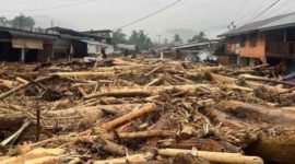 Gelondongan kayu yang terseret arus banjir bandang di Sumatera. Foto: Istimewa.