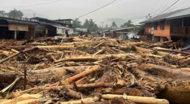 Gelondongan kayu yang terseret arus banjir bandang di Sumatera. Foto: Istimewa.