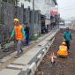 Sejumlah pekerja proyek rehabilitasi Jalan Gudang, Kecamatan Cikole, Kota Sukabumi, terpantau menggunakan APD saat bekerja di lapangan. Foto: Boy