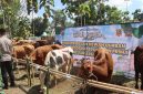 Hewan qurban yang akan didistribusikan Polres Sukabumi Kota kepada puluhan penerima manfaat di halaman Mapolsek Warudoyong, Selasa (26/5). (Foto: Humas Polres Sukabumi Kota)