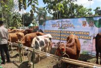 Hewan qurban yang akan didistribusikan Polres Sukabumi Kota kepada puluhan penerima manfaat di halaman Mapolsek Warudoyong, Selasa (26/5). (Foto: Humas Polres Sukabumi Kota)