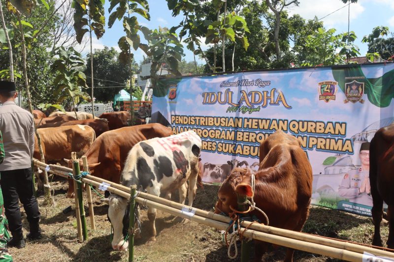 Hewan qurban yang akan didistribusikan Polres Sukabumi Kota kepada puluhan penerima manfaat di halaman Mapolsek Warudoyong, Selasa (26/5). (Foto: Humas Polres Sukabumi Kota)
