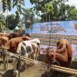 Hewan qurban yang akan didistribusikan Polres Sukabumi Kota kepada puluhan penerima manfaat di halaman Mapolsek Warudoyong, Selasa (26/5). (Foto: Humas Polres Sukabumi Kota)